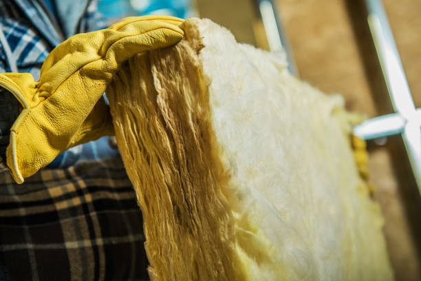Best Insulation Maintenance and Repair in Bent, NE